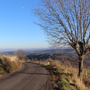 Route vers Laurie